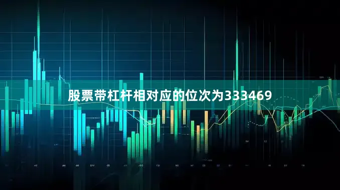 股票带杠杆相对应的位次为333469